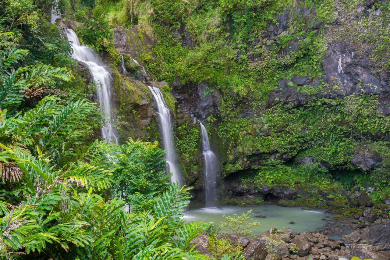 Kaleialoha 213 Villa Lahaina Luaran gambar